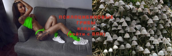 дурь Абдулино
