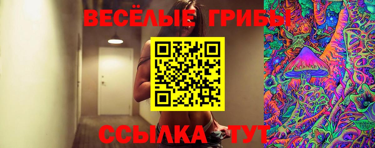 Фурманов  Галлюциногенные грибы MAGIC MUSHROOMS  Псилоцибиновые грибы MAGIC MUSHROOMS  сколько стоит  Вход с VPN 